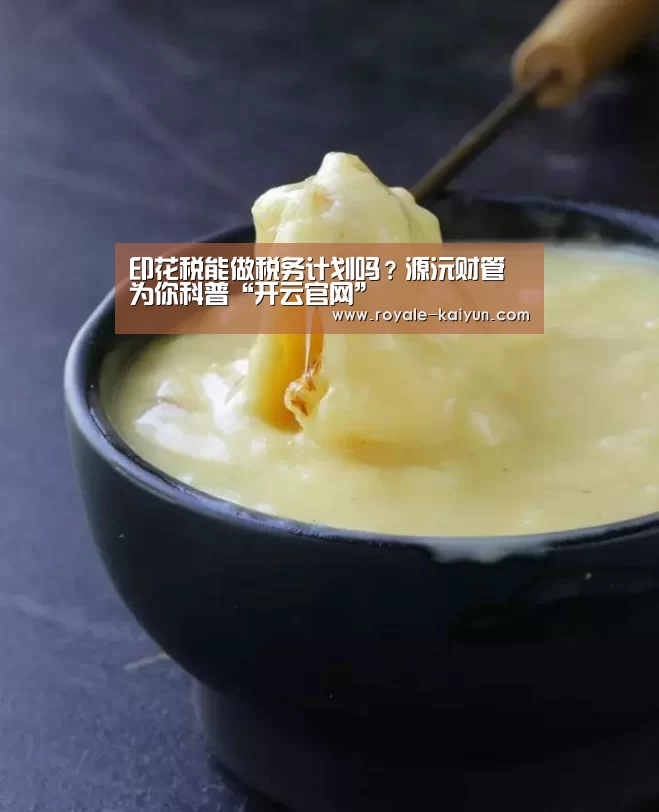 印花税能做税务计划吗?源沅财管为你科普“开云官网”(图4) 开云直播