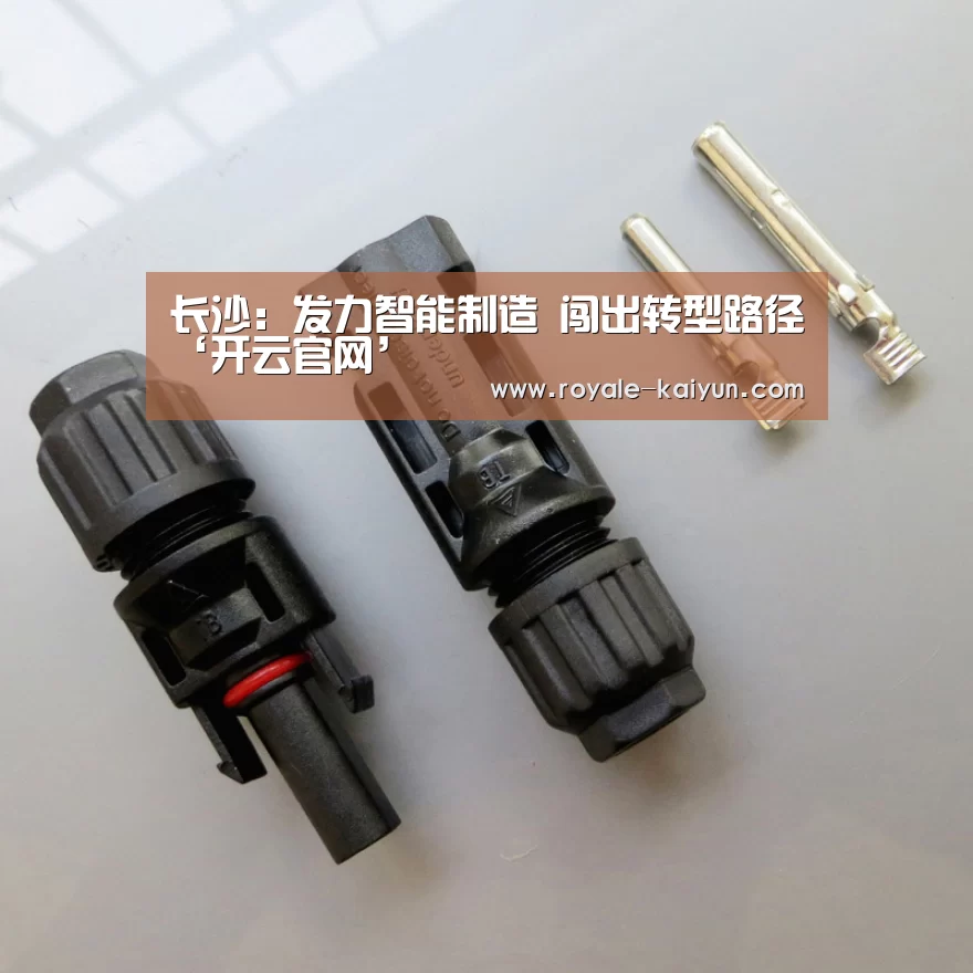 开云登录