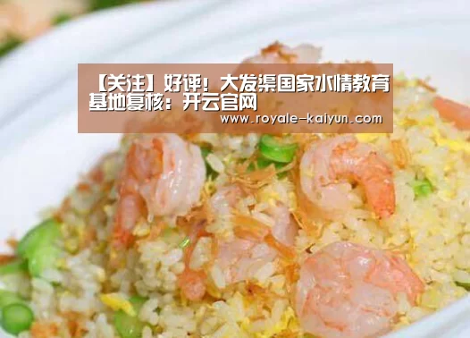 【关注】好评!大发渠国家水情教育基地复核:开云官网(图1) 开云入口