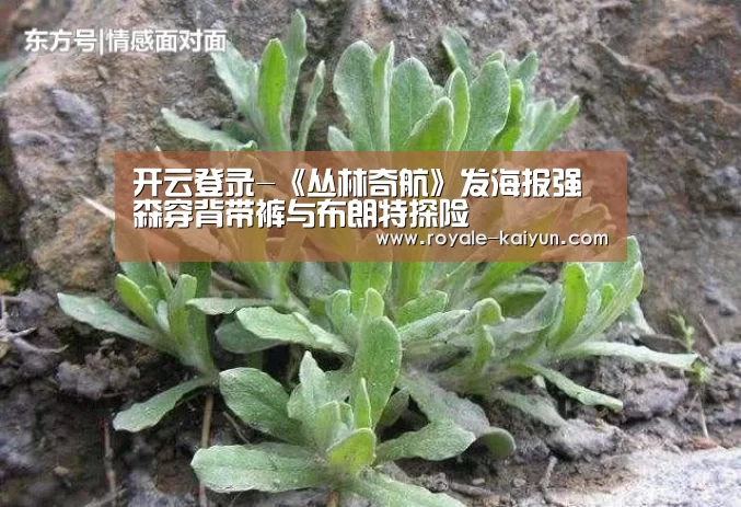 开云登录-《丛林奇航》发海报强森穿背带裤与布朗特探险(图2) 开云登录